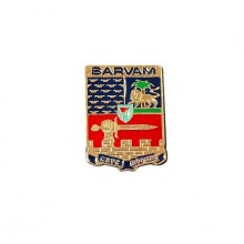 Spilla Metallo 3D Aeronautica Militare SARVAM   Art. SARVAM